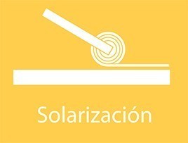 solarización del suelo