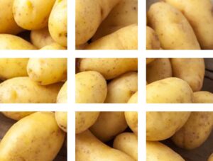 Maquinaria agrícola para el cultivo de la patata