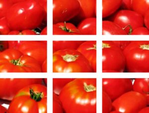 Maquinaria agrícola para el cultivo del tomate | Oliver Agro